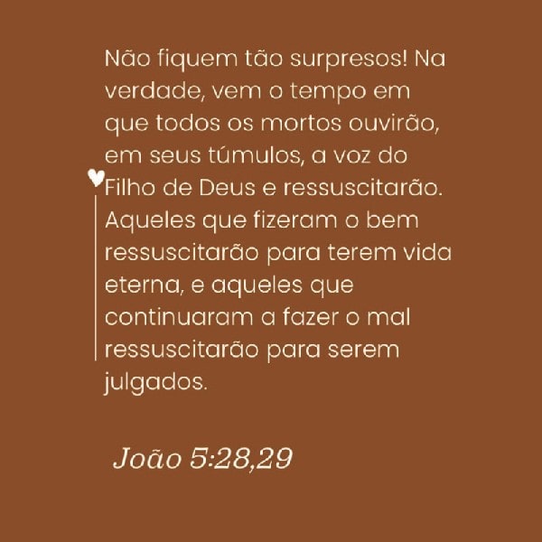 João 5:28-29