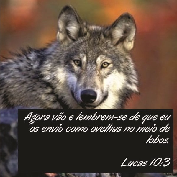Lucas 10:3