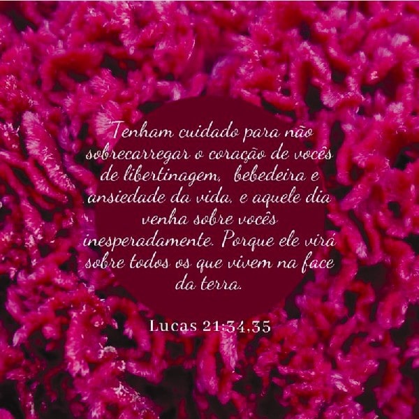 Lucas 21:34-35