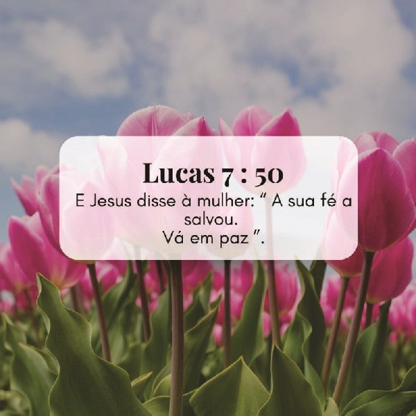 Lucas 7:50