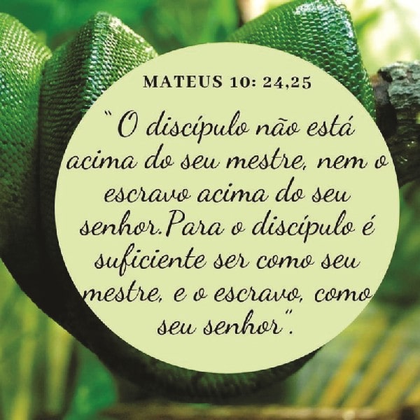 Mateus 10:24-25