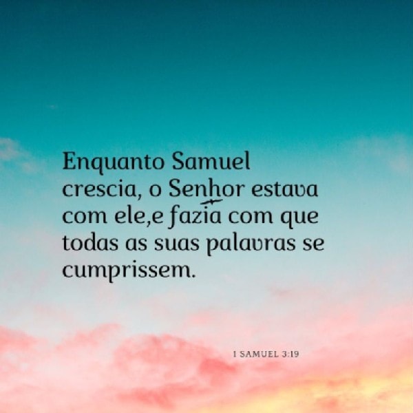 1 Samuel 3:19