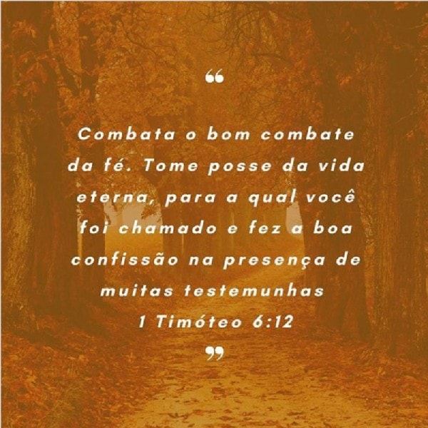1 Timoteo 6:12