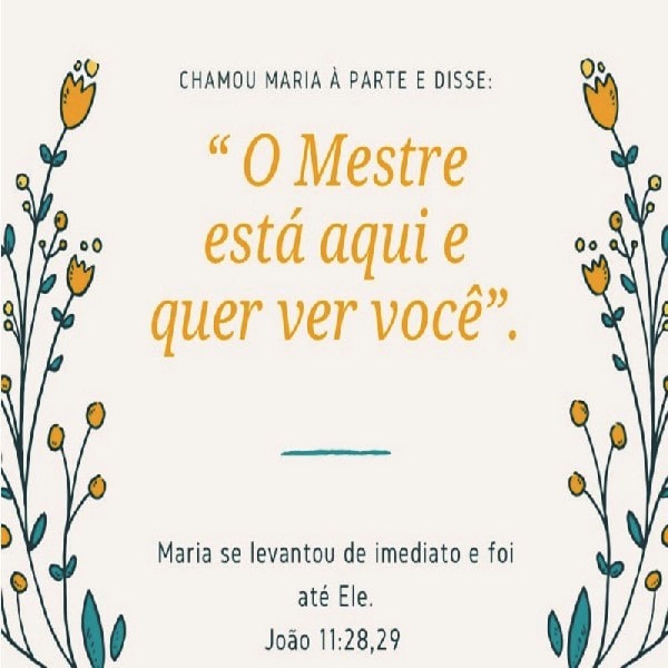 João 11:28-29
