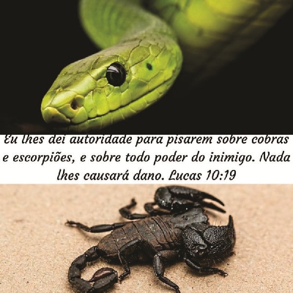 Lucas 10:19