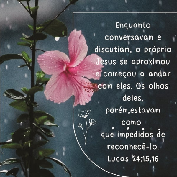 Lucas 24:15-16