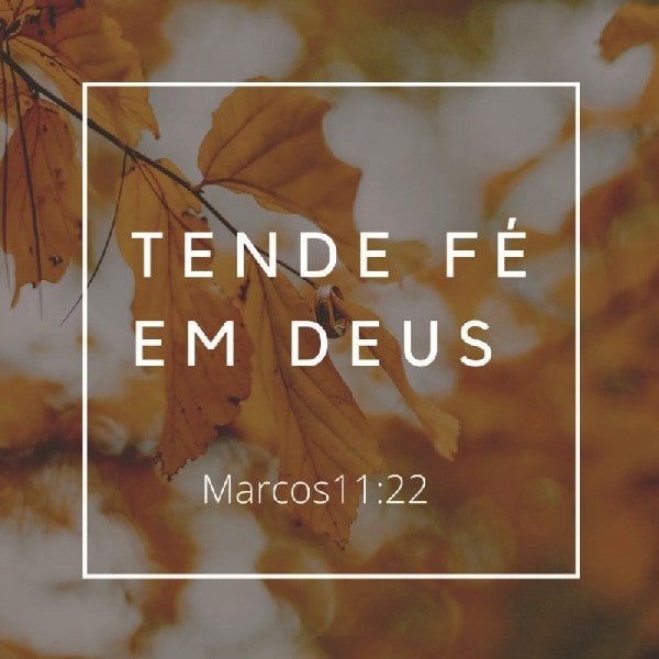 Marcos 11:22
