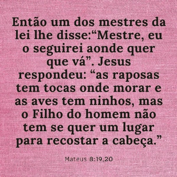 Mateus 8:19-20