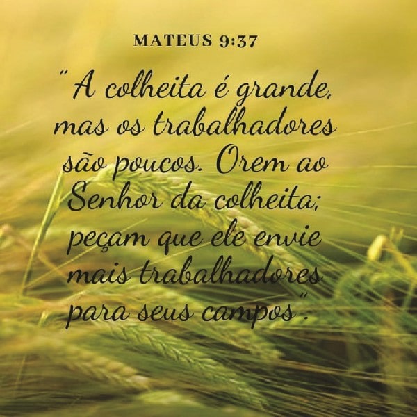 Mateus 9:37-38