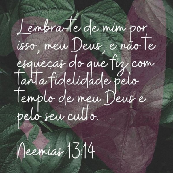 Neemias 13:14