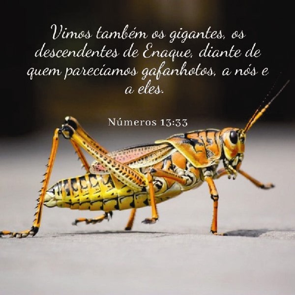 Números 13:33