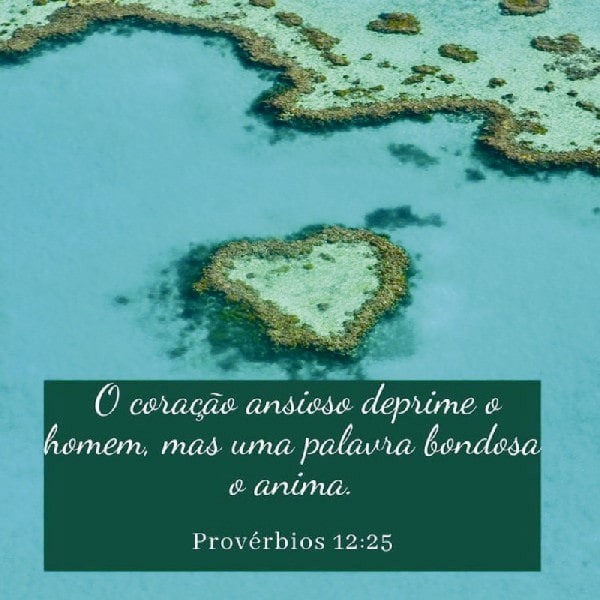 Provérbios 12:25