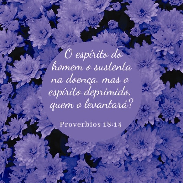 Provérbios 18:14