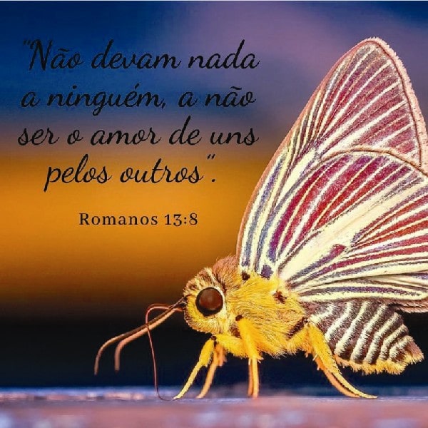 Romanos 13:8