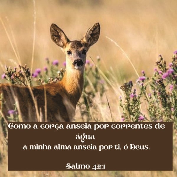 Salmo 42:1