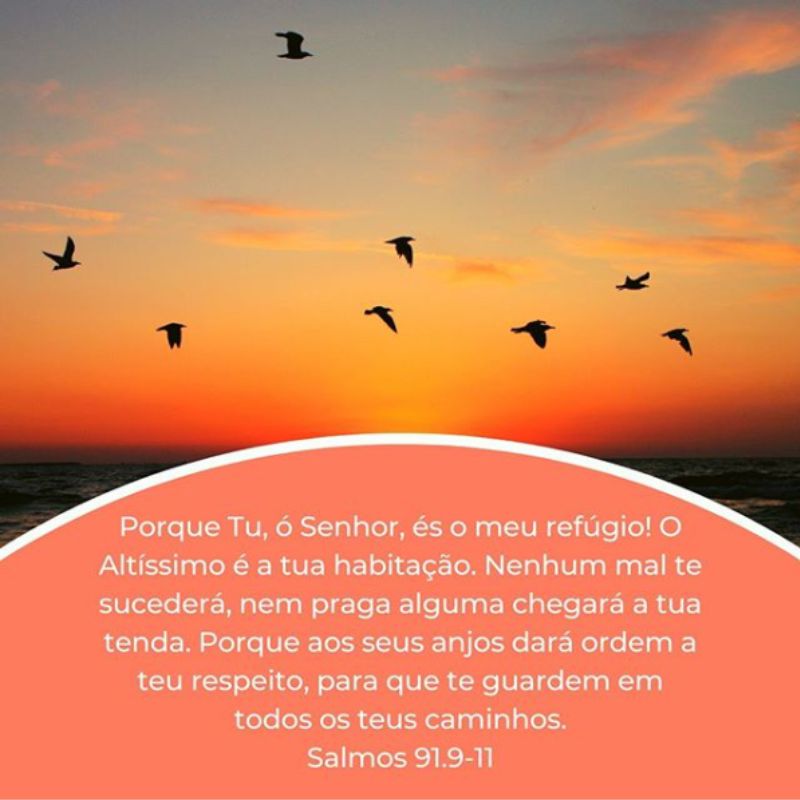 Salmos 91:9-11