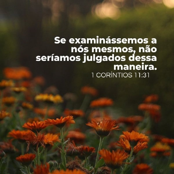 1 Coríntios 11:31