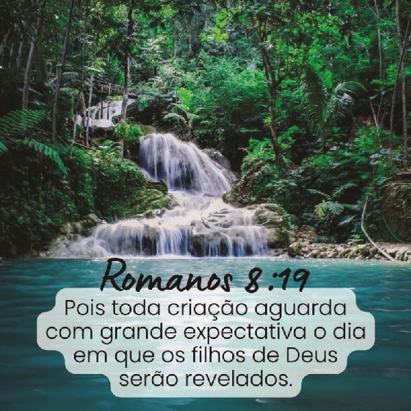 Romanos 8:19