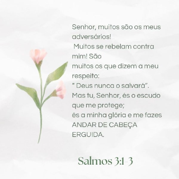 Salmo 3:1-3