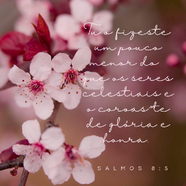 Salmo 8:5