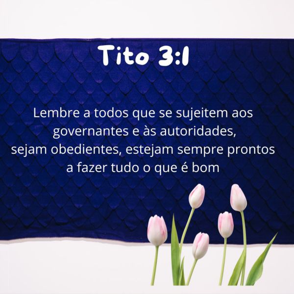 Tito 3:1