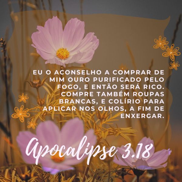 Apocalipse 3:18