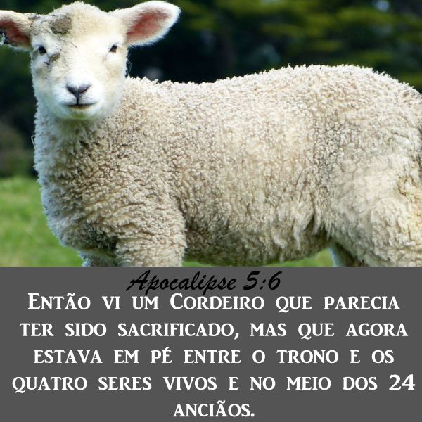 Apocalipse 5:6