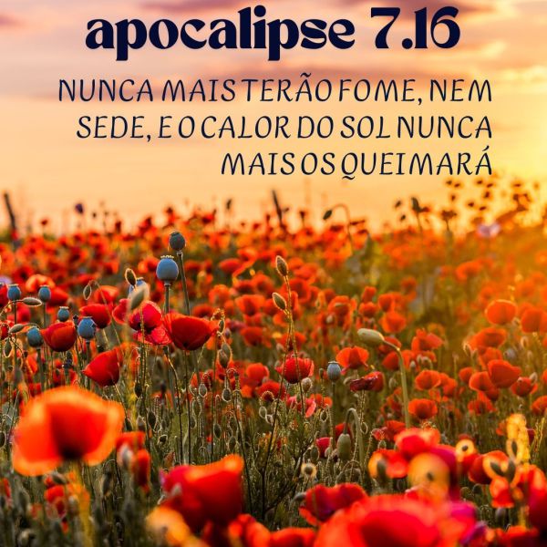 Apocalipse 7:16-17