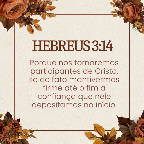 Hebreus 3:14