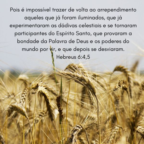 Hebreus 6:4-6a