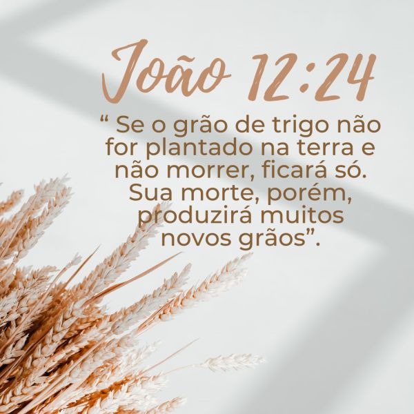 João 12:24