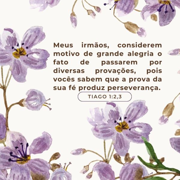 Tiago 1:2-3