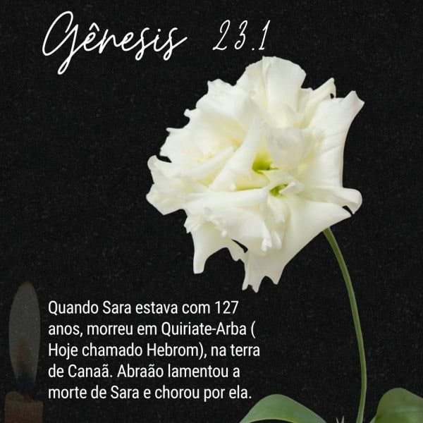 Gênesis 23:1-2