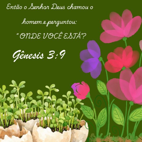 Genesis 3:9-13